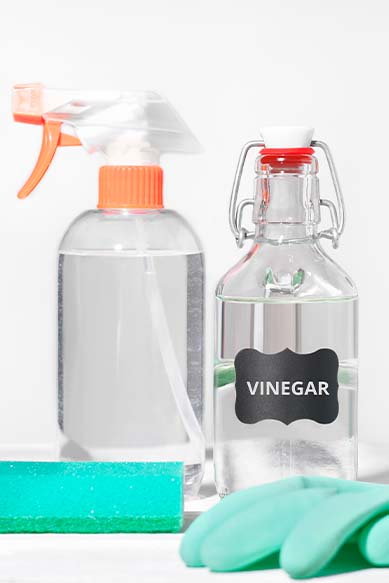 Frascos de vinagre e produto de limpeza em ambiente doméstico